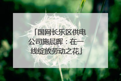 国网长乐区供电公司施晨晖：在一线绽放劳动之花